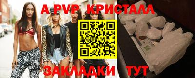 стафф Партизанск
